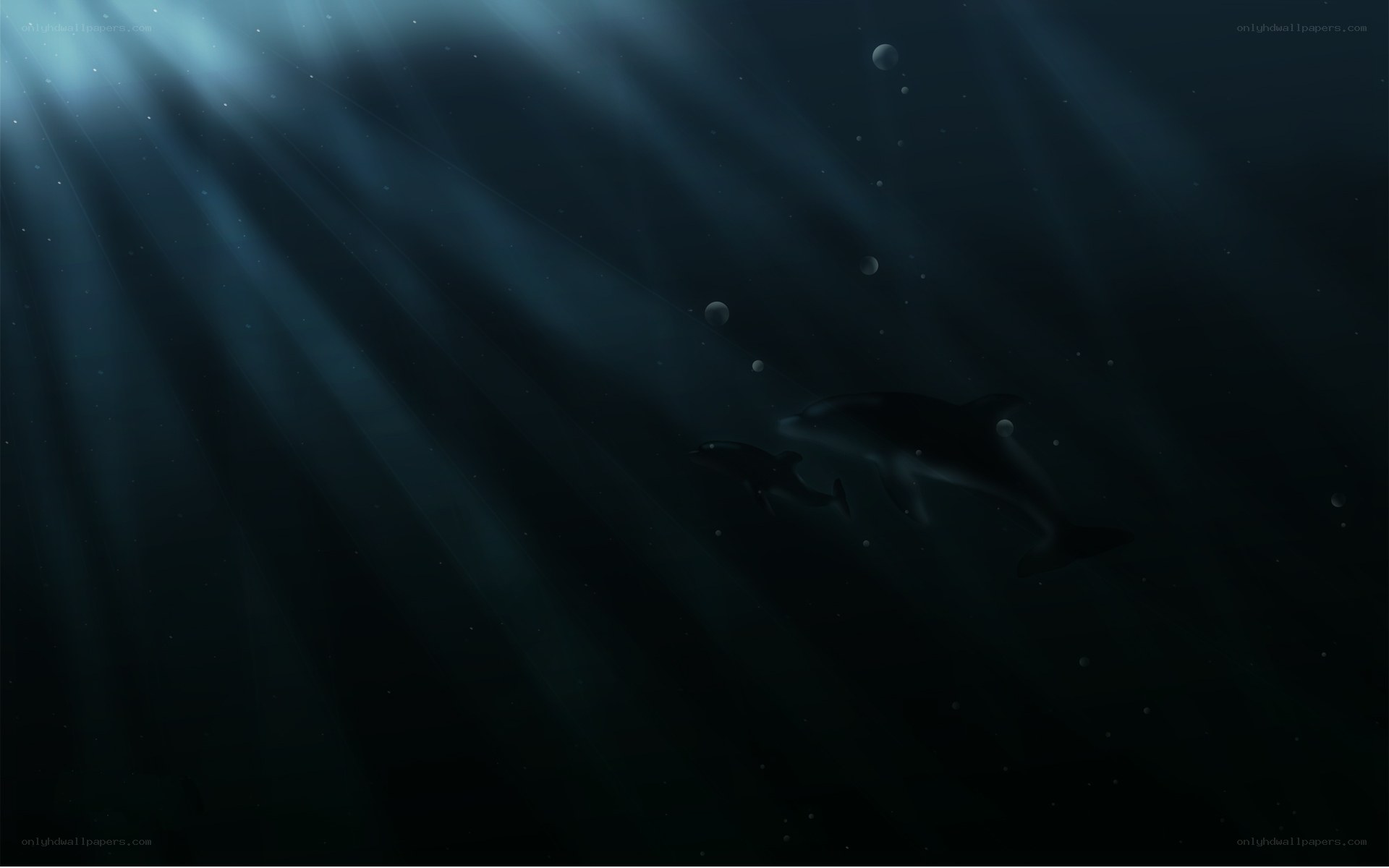 Dolphins in deep ocean