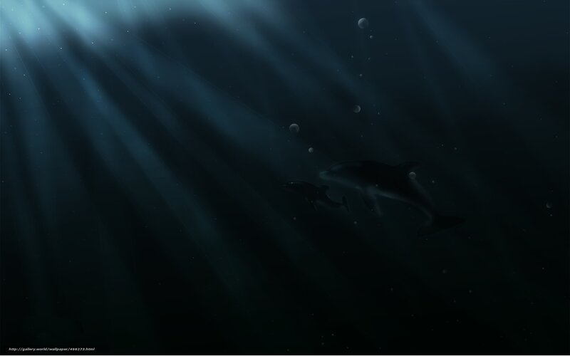 Dolphins in deep ocean