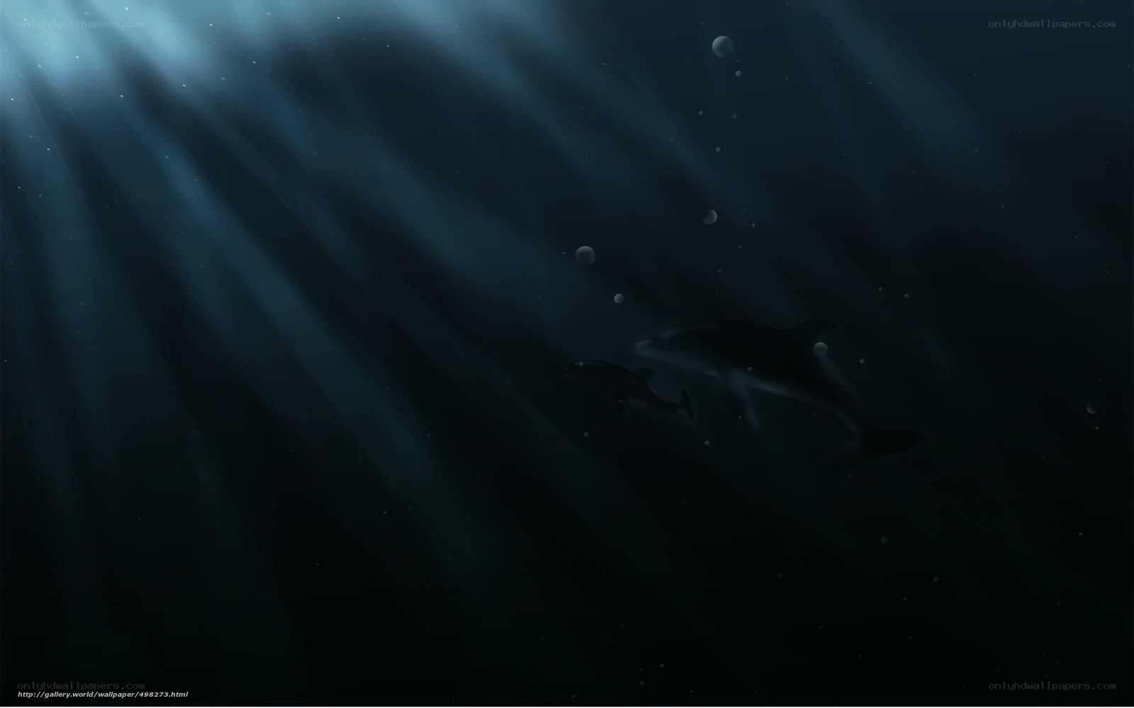 Dolphins in deep ocean