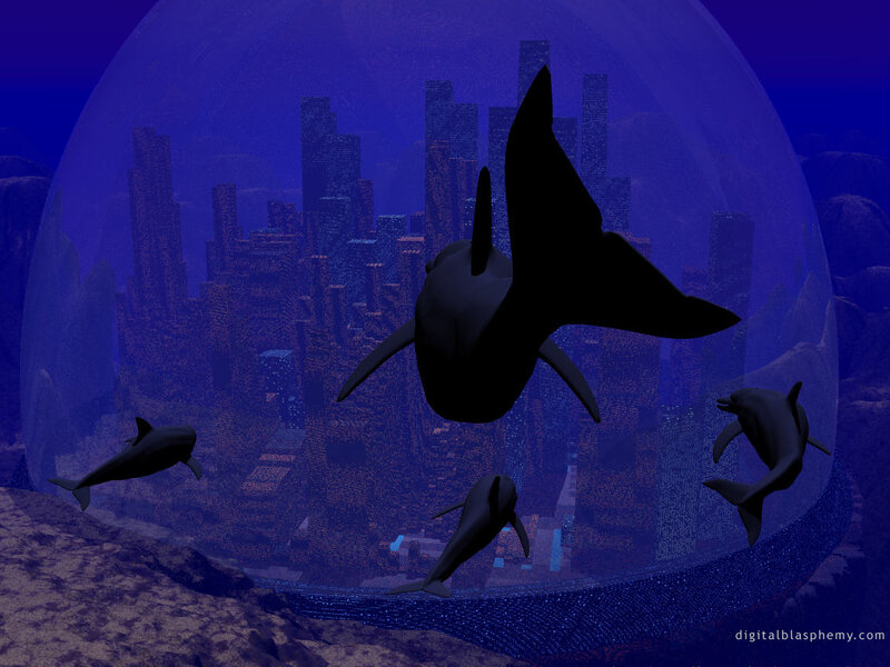 Dolphins in Dome