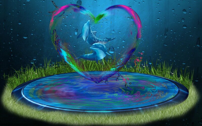 Dolphins in Heart Bubble