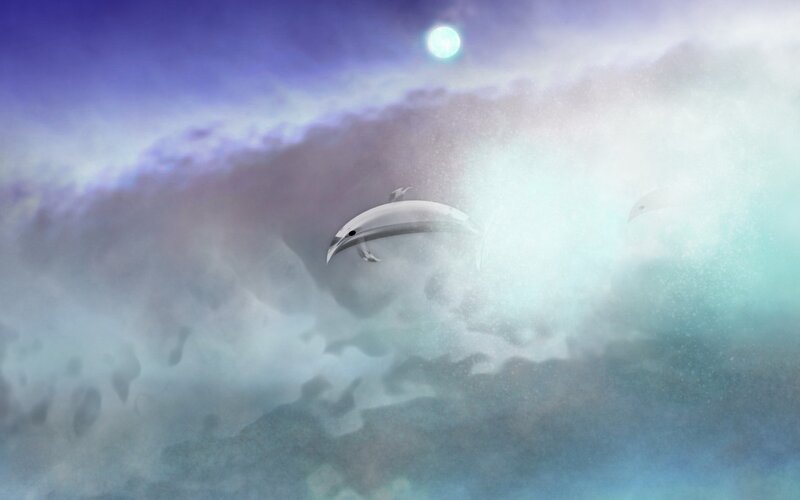 Dolphins in moonlit sky