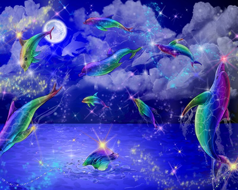 Dolphins in Night Sky — Blue