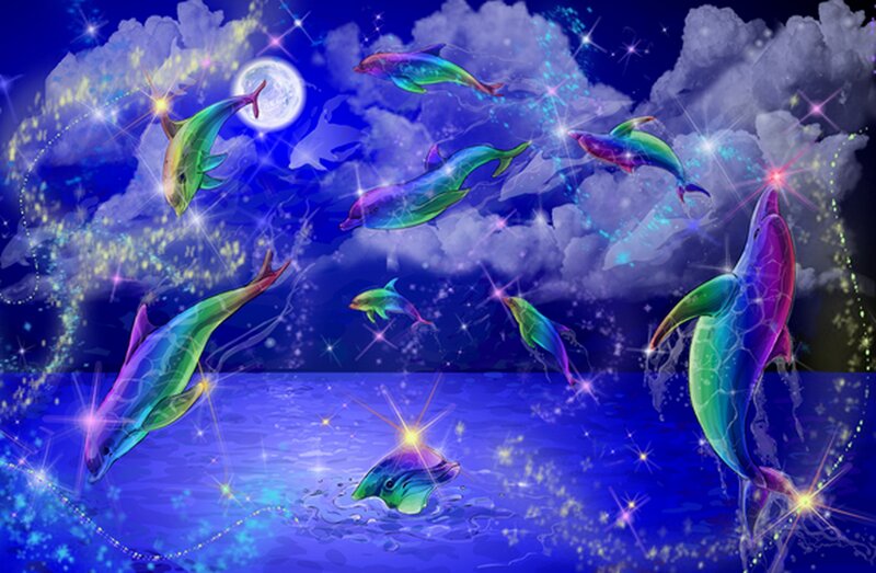 Dolphins in Night Sky