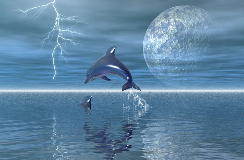 Dolphins in Ocean — Blue, Dramatic, Night