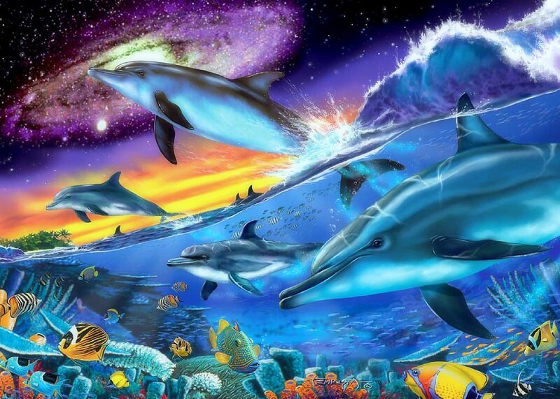 Dolphins in Ocean — Blue, Dramatic, Sunset