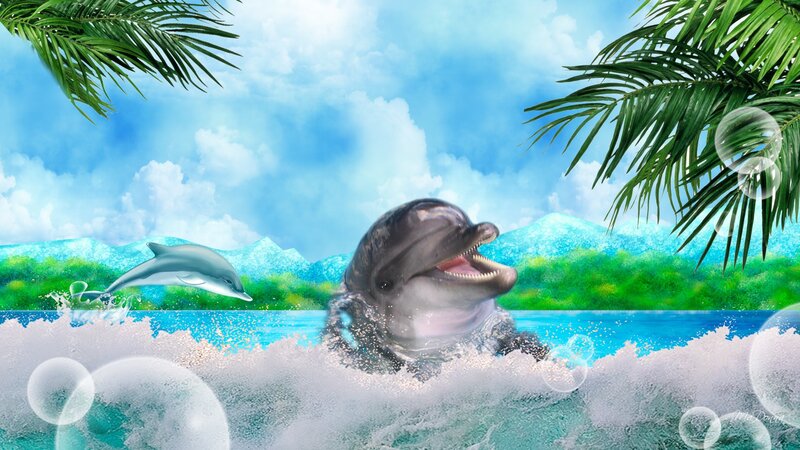 Dolphins in Ocean — Blue, Playful