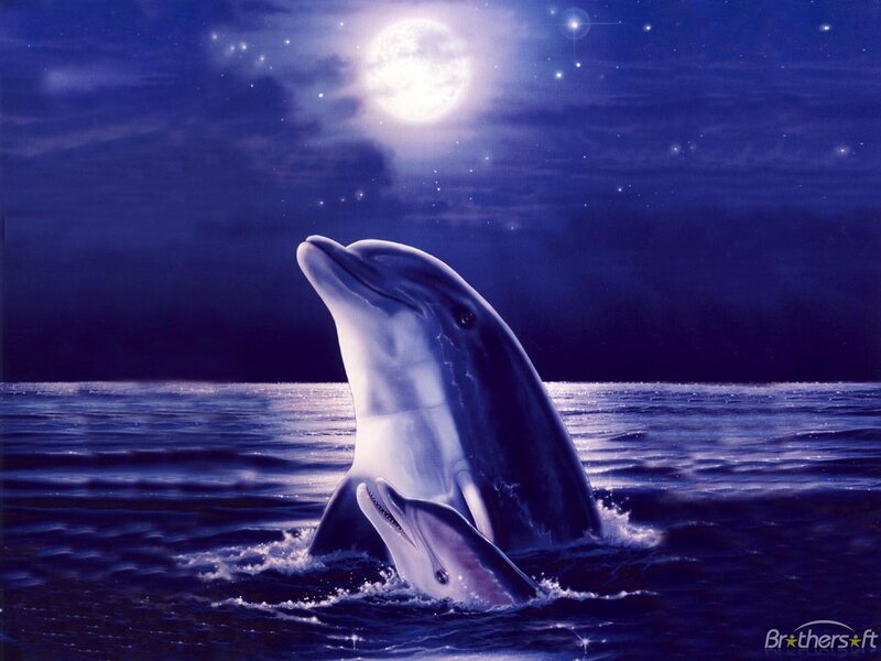 Dolphins in Ocean — Blue, Serene, Night, Digital Art, Moon
