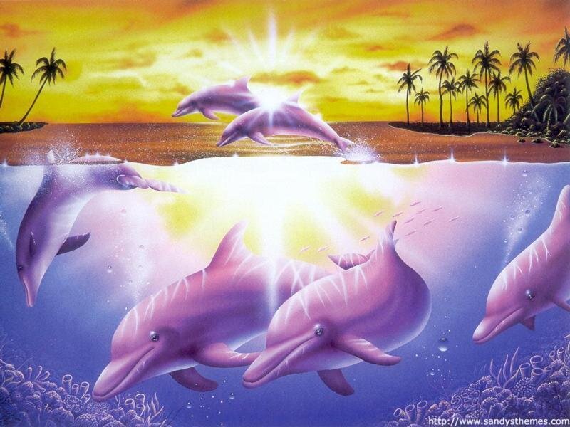 Dolphins in Ocean — Purple