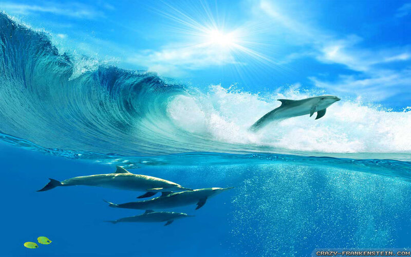 Dolphins in Ocean Wave — Blue, Dynamic, Afternoon, Photograph