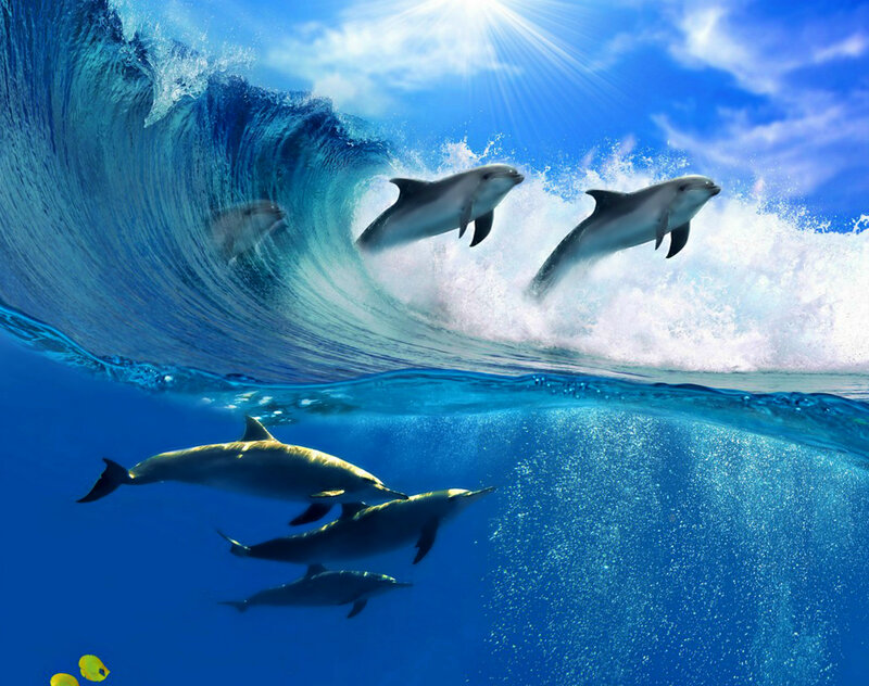 Dolphins in Ocean Wave — Blue, Dynamic