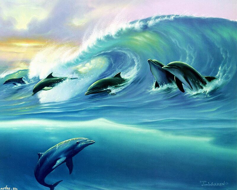 Dolphins in Ocean Wave
