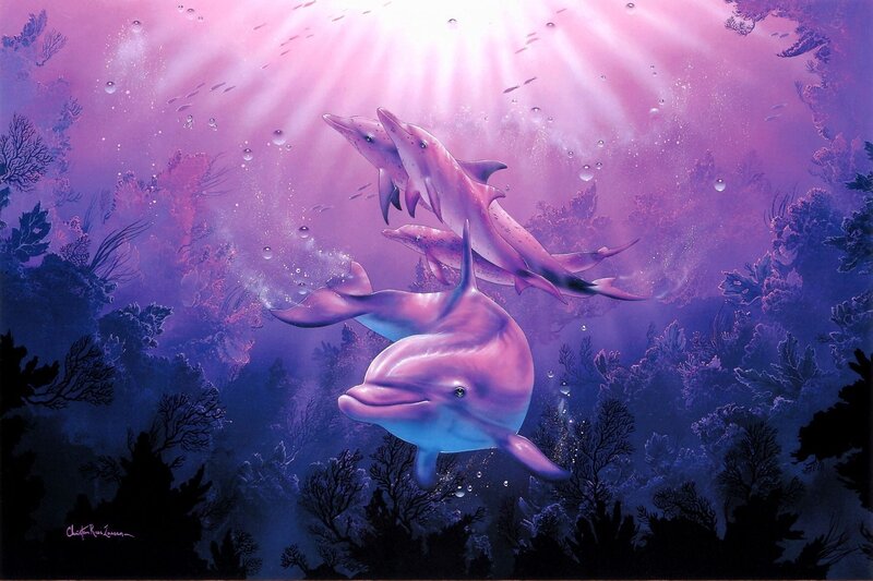 Dolphins in purple light
