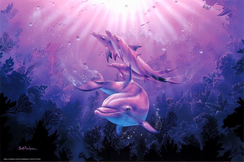 Dolphins in purple light