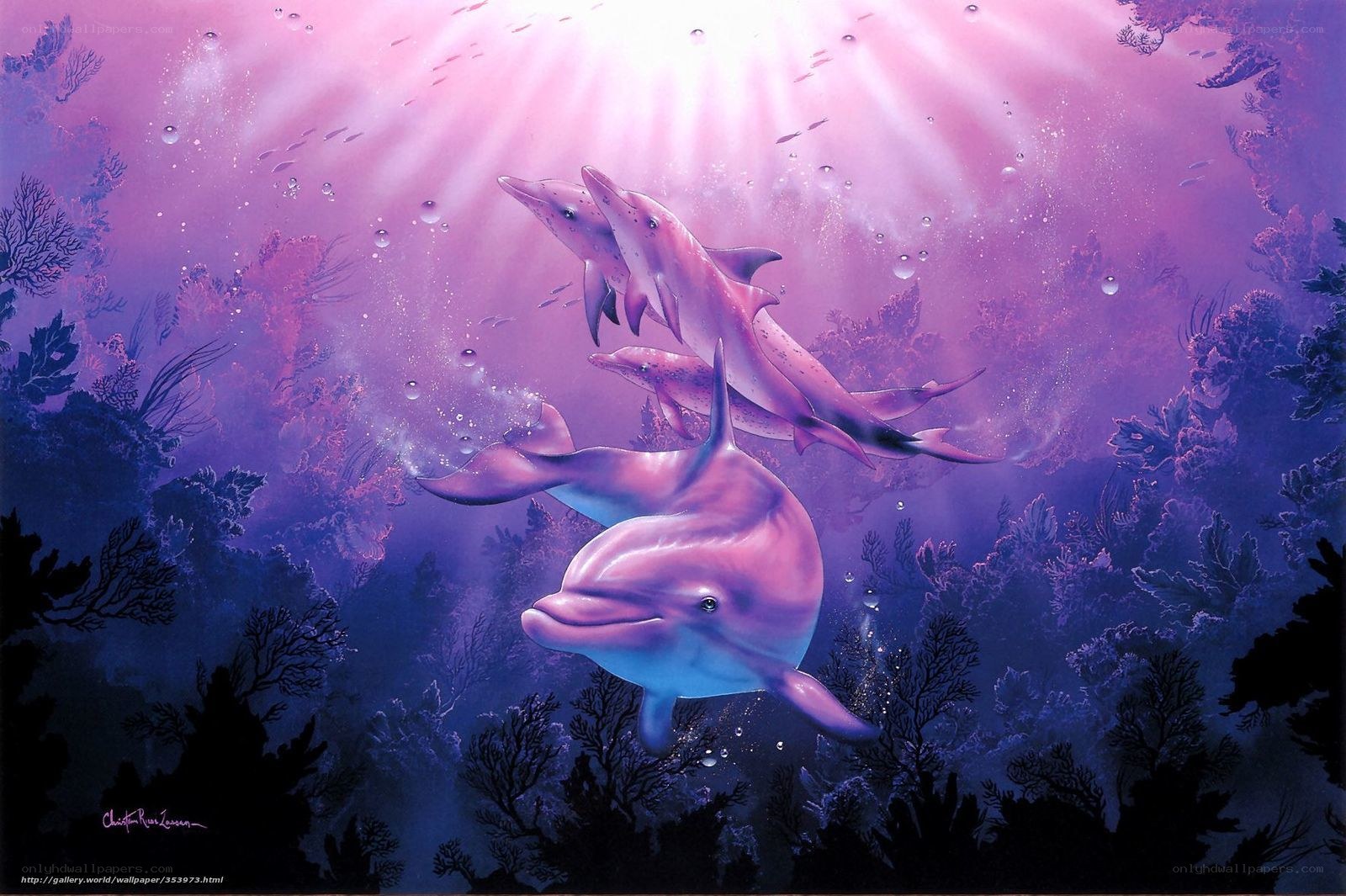 Dolphins in purple light