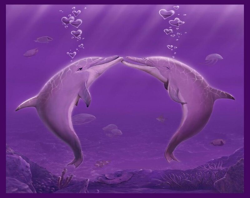 Dolphins in purple sea