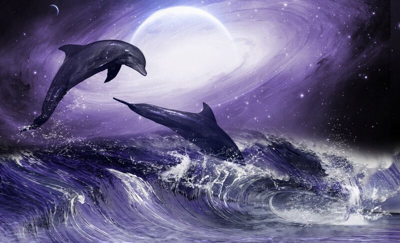 Dolphins in Purple Waves