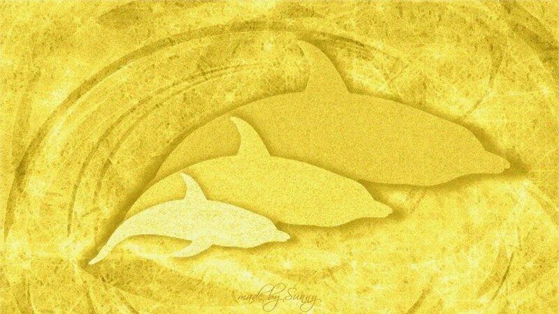 Dolphins in Sand