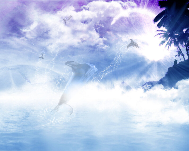 Dolphins in Sky