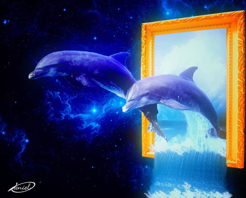 Dolphins in space and frame