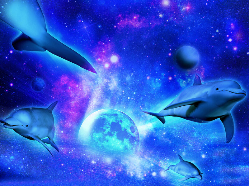 Dolphins in Space — Blue, Dreamy