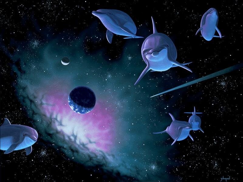 Dolphins in space