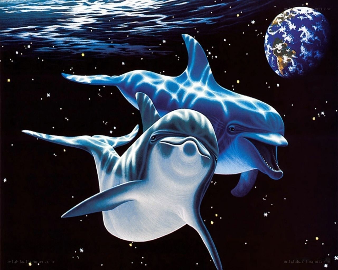 Dolphins in space with Earth