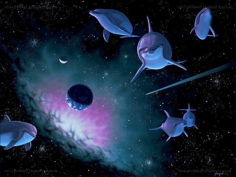 Dolphins in space