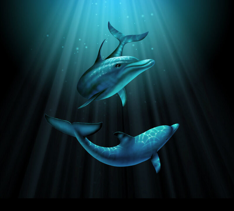 Dolphins in sunlit water