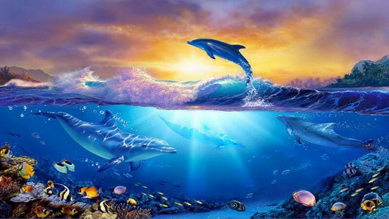 Dolphins in sunset ocean