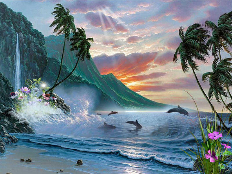 Dolphins in Tropical Bay