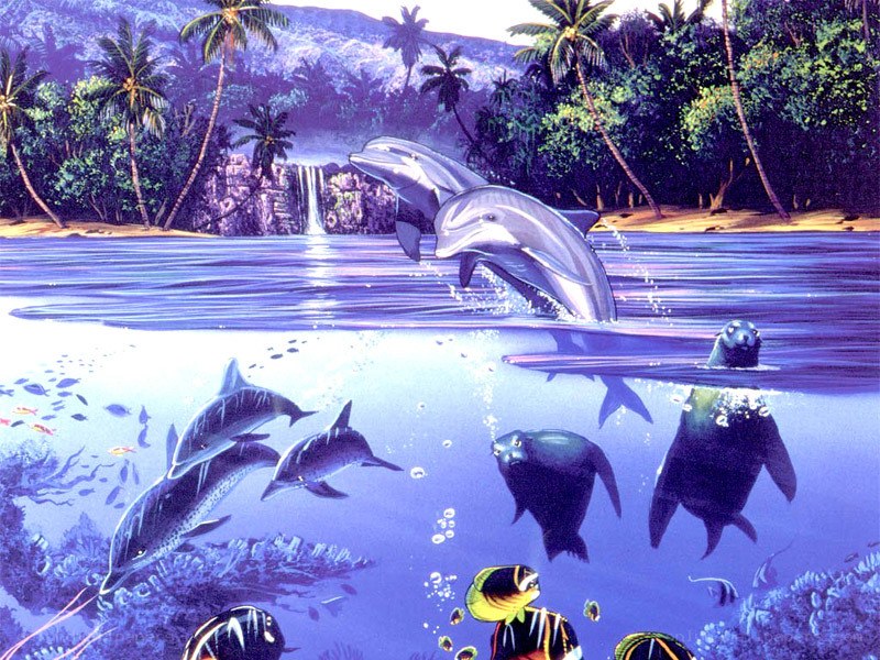 Dolphins in tropical paradise