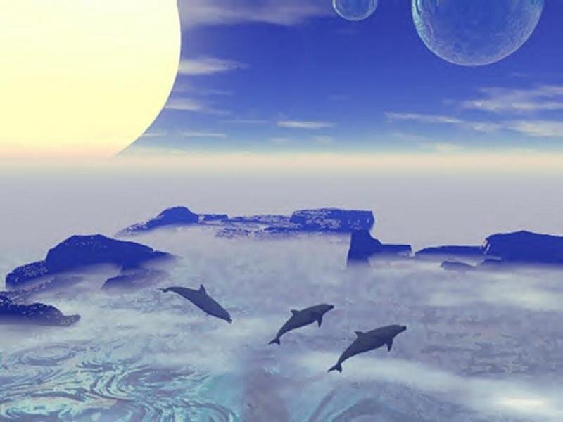 Dolphins in Water — Blue, Serene