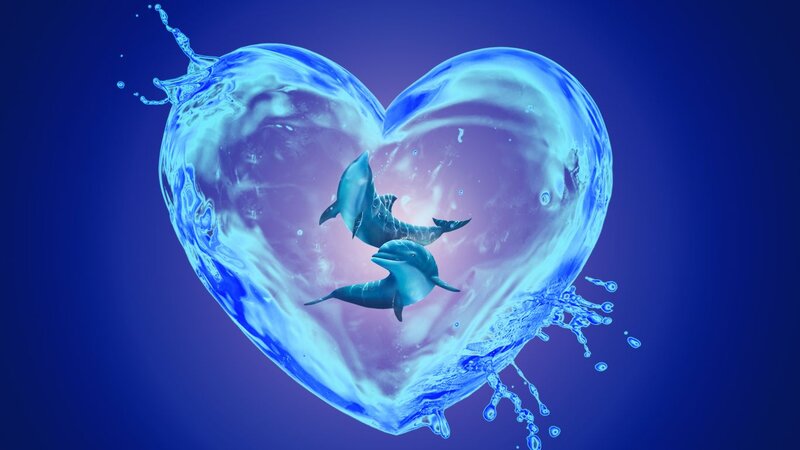Dolphins in Water Heart