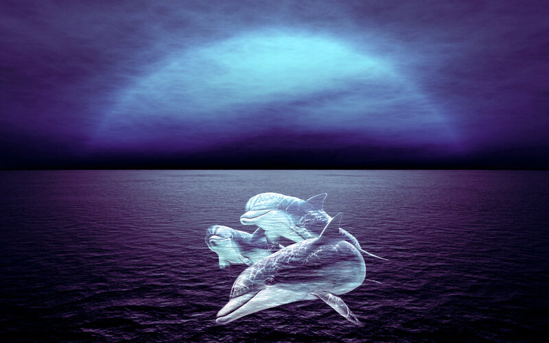 Dolphins in Water — Purple, Serene