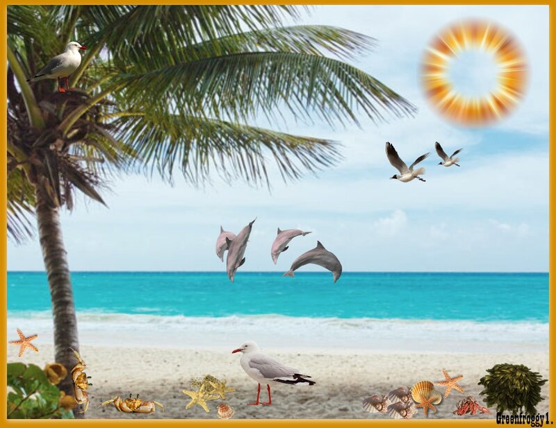 Dolphins Jumping at Beach