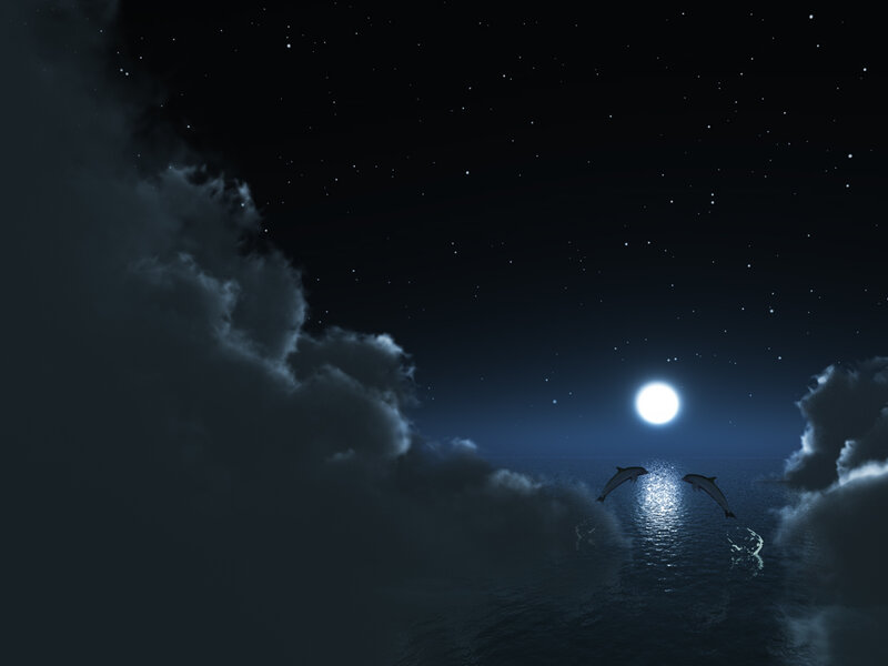 Dolphins Jumping at Night — Blue, Serene, Digital Art, Moon, Stars