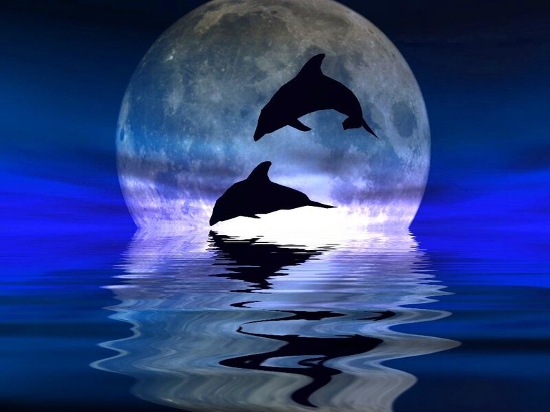 Dolphins Jumping at Night — Blue, Serene, Digital Art, Moon