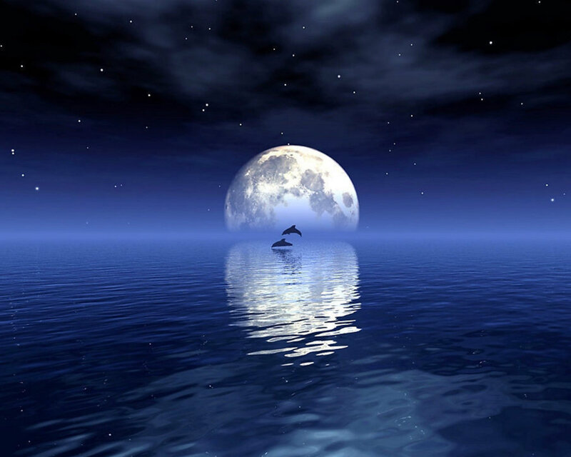 Dolphins Jumping at Night — Blue