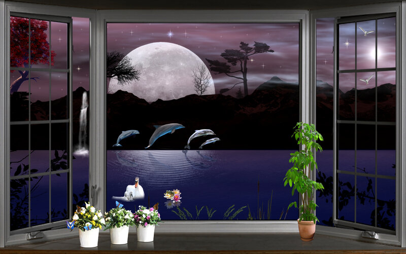 Dolphins Jumping at Night — Purple