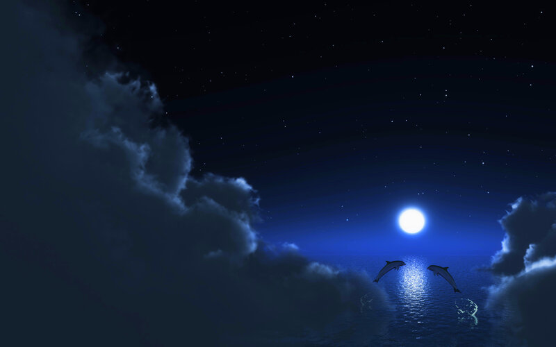 Dolphins Jumping at Night
