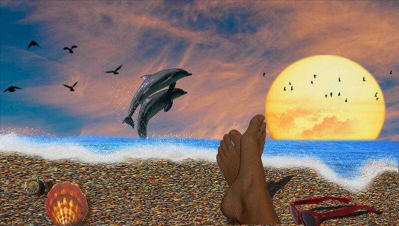 Dolphins Jumping at Sunset — Blue