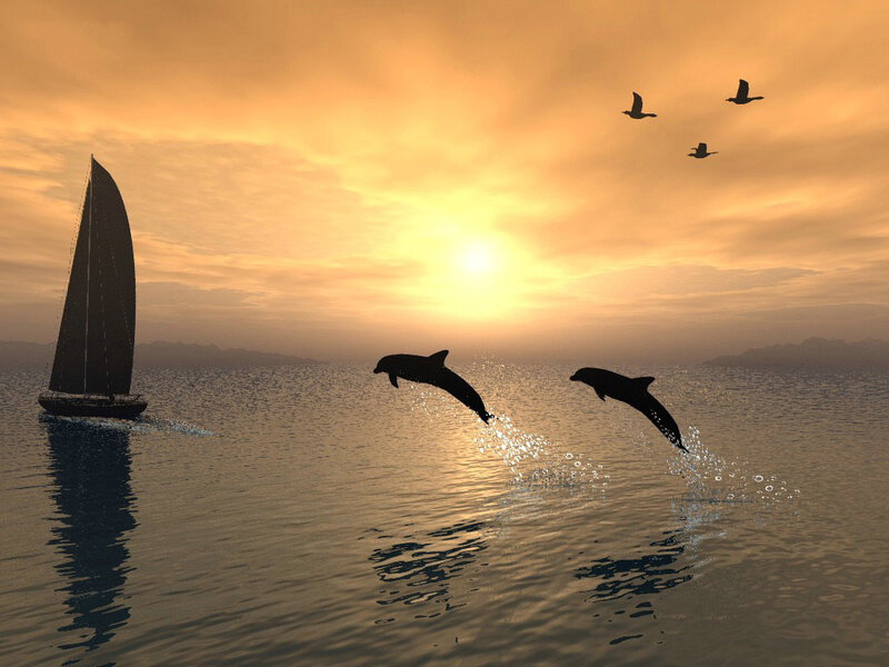 Dolphins Jumping at Sunset — Orange, Serene, 3d Render