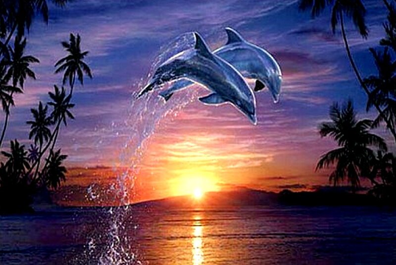 Dolphins Jumping at Sunset — Orange, Serene, Digital Art, Palm Trees