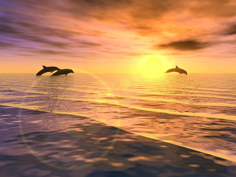Dolphins Jumping at Sunset — Orange, Serene, Digital Art
