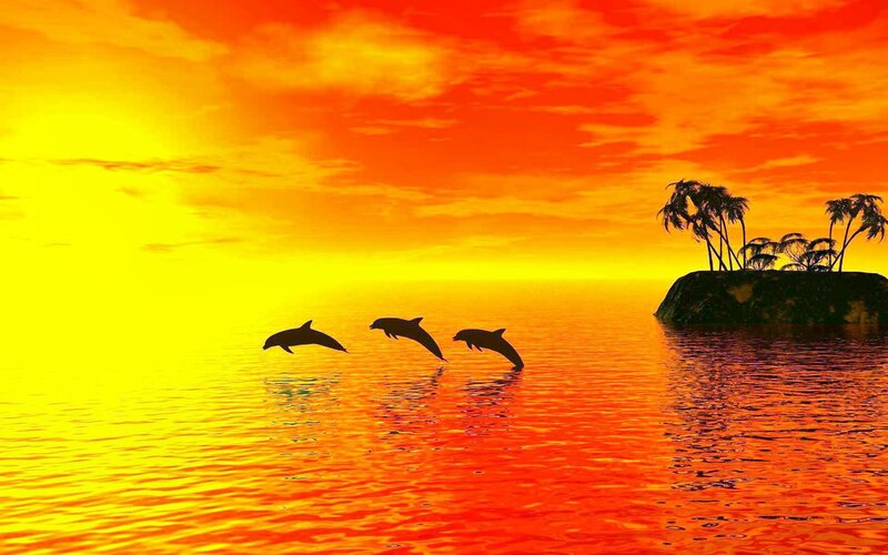Dolphins Jumping at Sunset — Orange, Serene