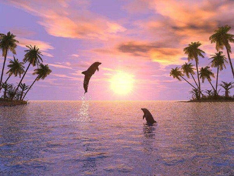 Dolphins Jumping at Sunset — Purple, Serene, Digital Art, Palm Trees