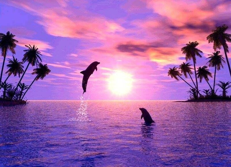Dolphins Jumping at Sunset — Purple, Serene, Digital Art