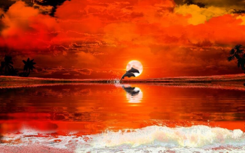 Dolphins Jumping at Sunset — Red, Dramatic