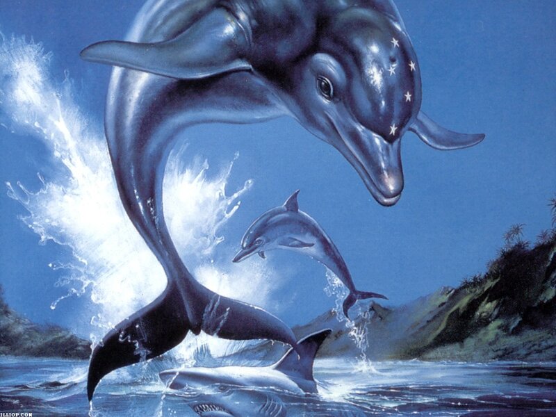 Dolphins Jumping — Blue, Dynamic, Illustration